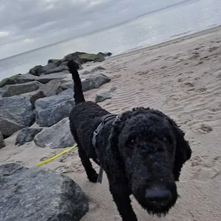 بيت للعطل Pur 3