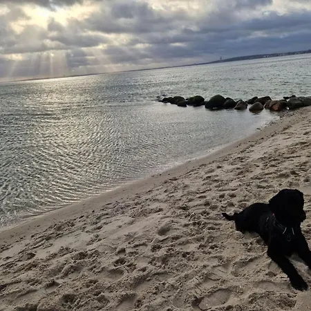 بيت للعطل Pur 3 زنغست